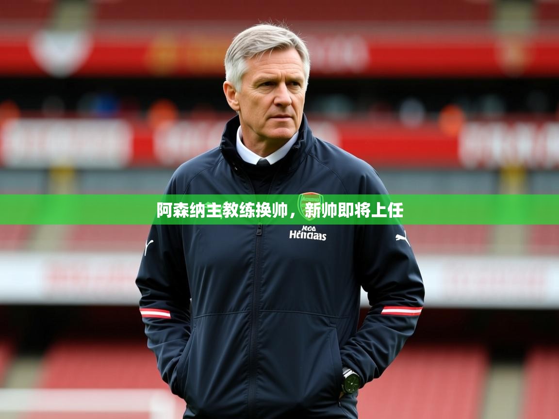 2025华体会登录首页阿森纳主教练换帅，新帅即将上任  第1张