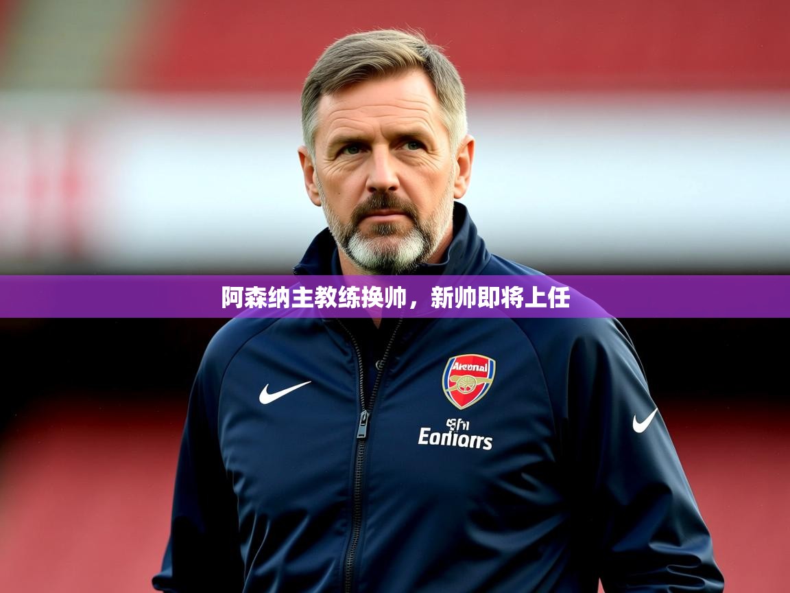 2025华体会登录首页阿森纳主教练换帅，新帅即将上任  第3张